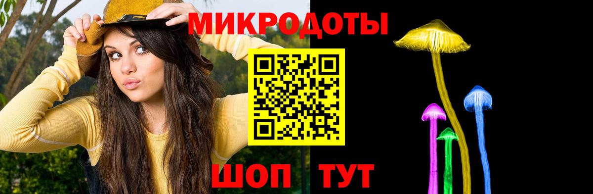 Волгодонск  Галлюциногенные грибы Magic Shrooms  сколько стоит  Вход с VPN 